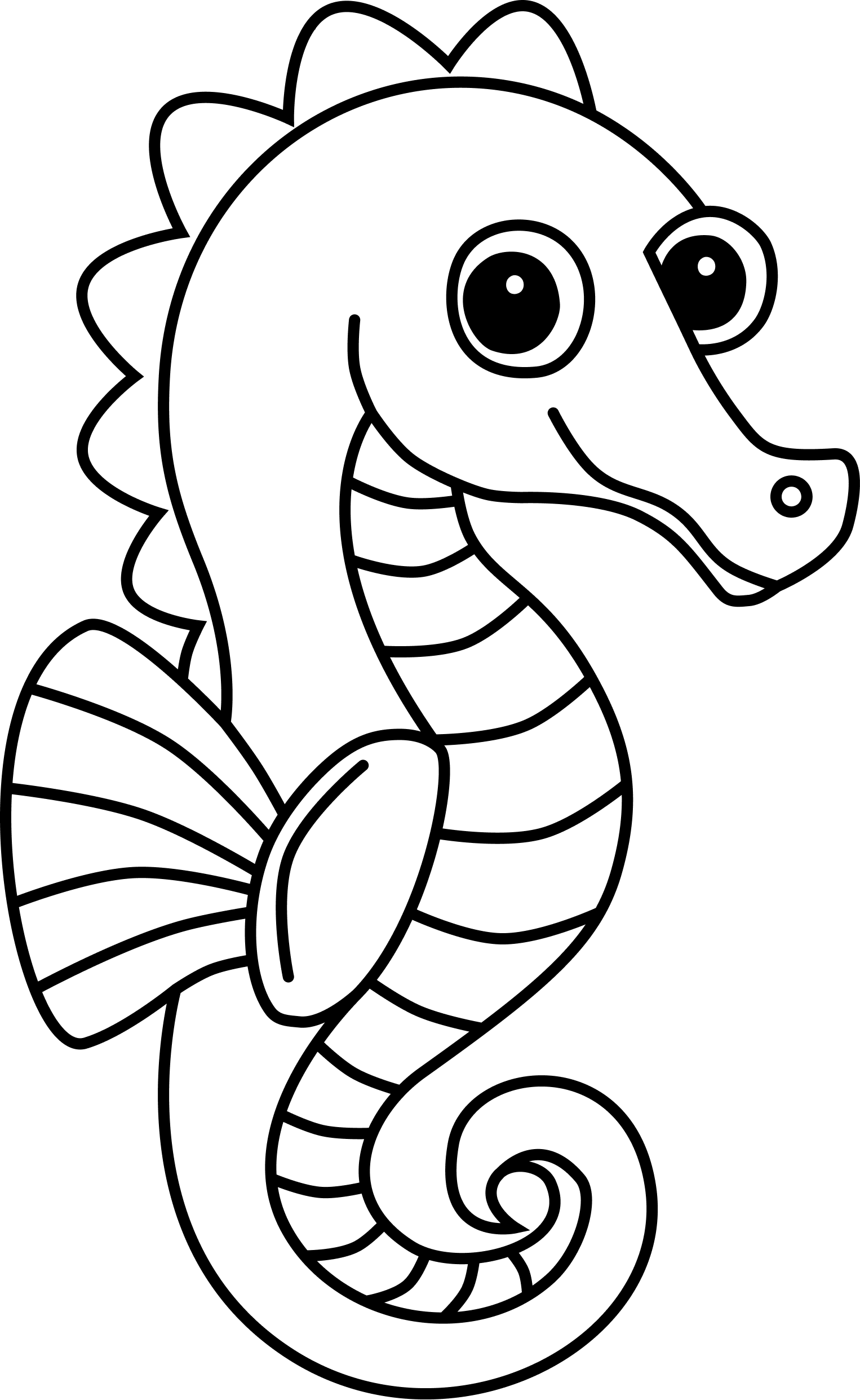 Anden fisk uden farve