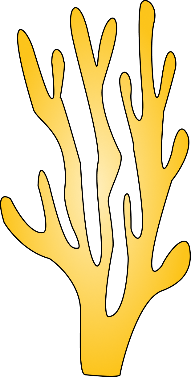 gul tang